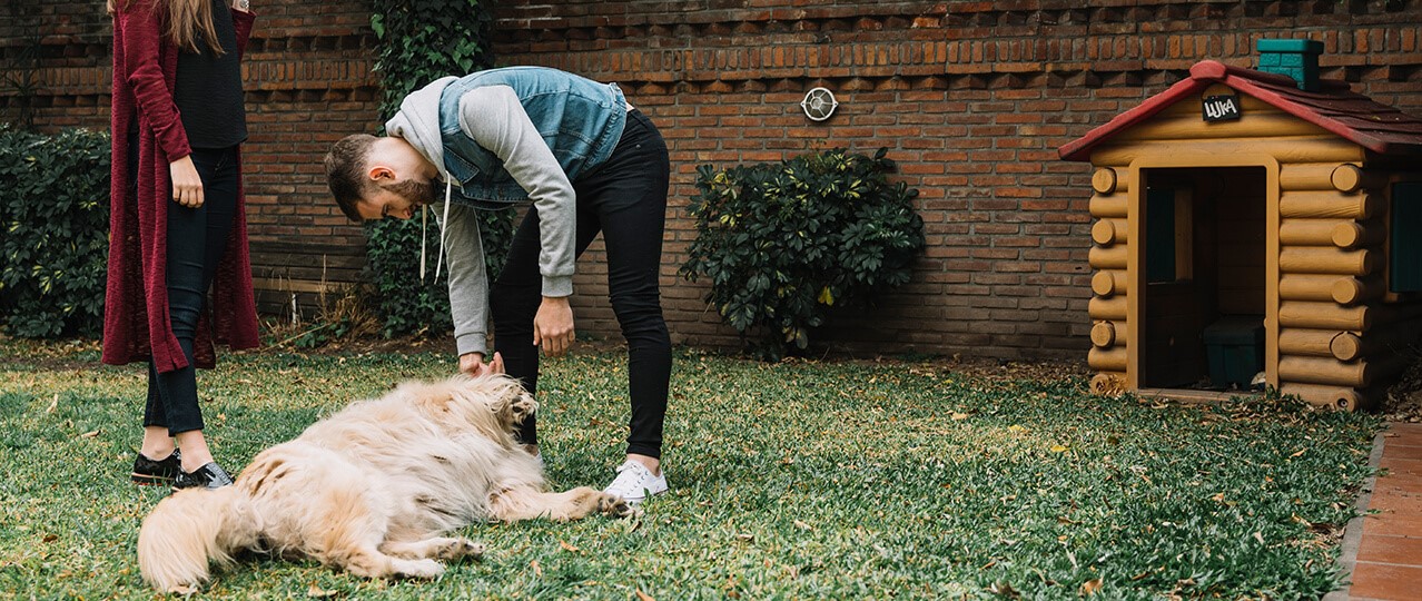 Bahçeşehir'de Köpek Eğitimi