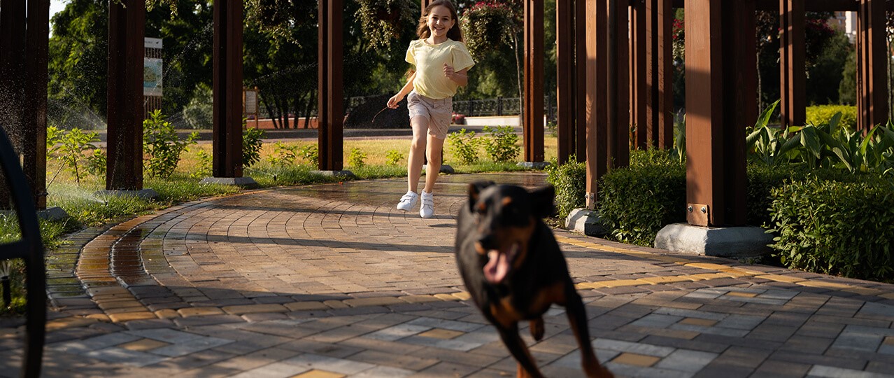 Arnavutköy Köpek Eğitimi